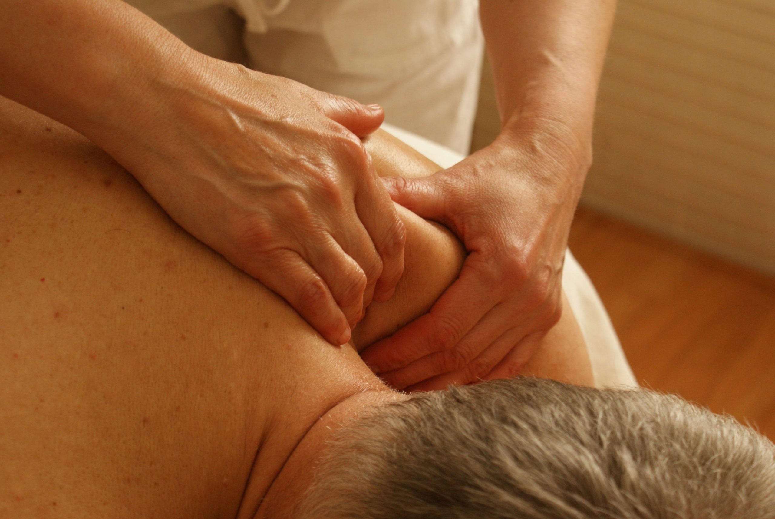 Advanced Anatomy for Therapeutic Massage Therapists