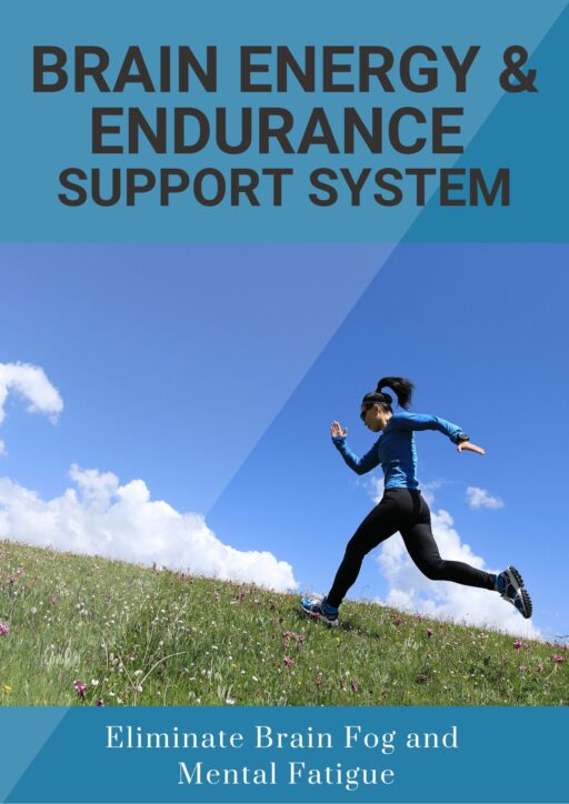 Brain Energy and Endurance Support System
