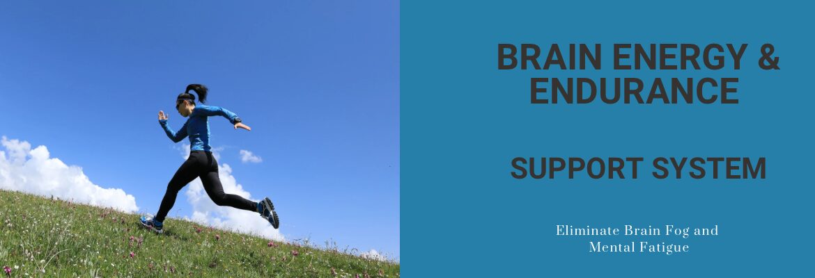 Brain Energy and Endurance Support System